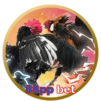 88pp bet